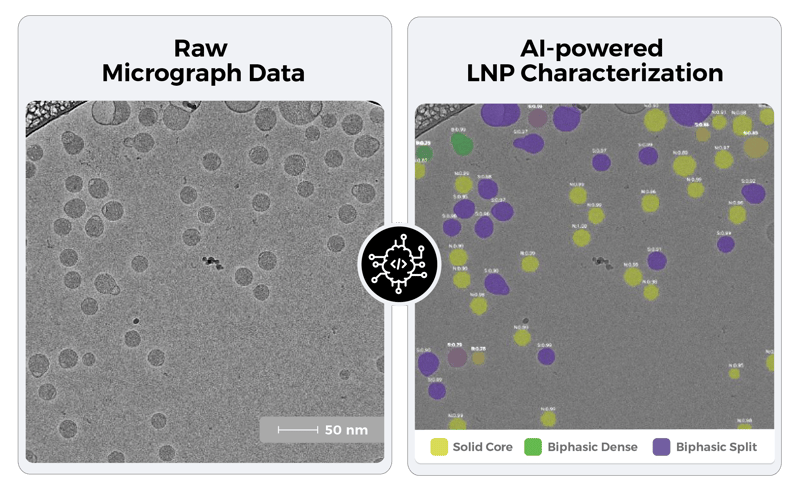 Annotated_Micrographs_6@4x